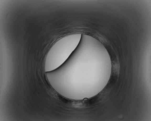 X0000086030373200703231000