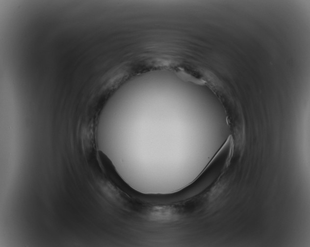 X0000086030376200703231000