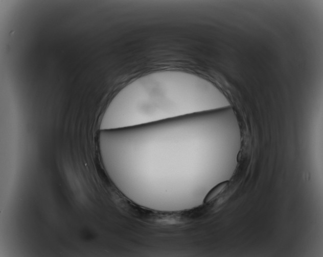 X0000086030377200703231000