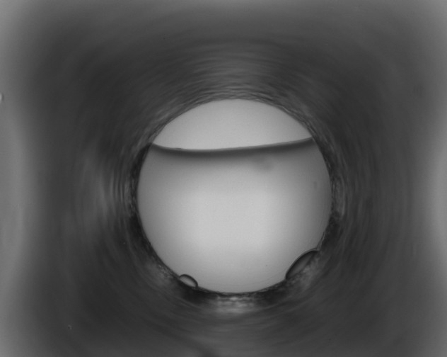 X0000086030378200703231000