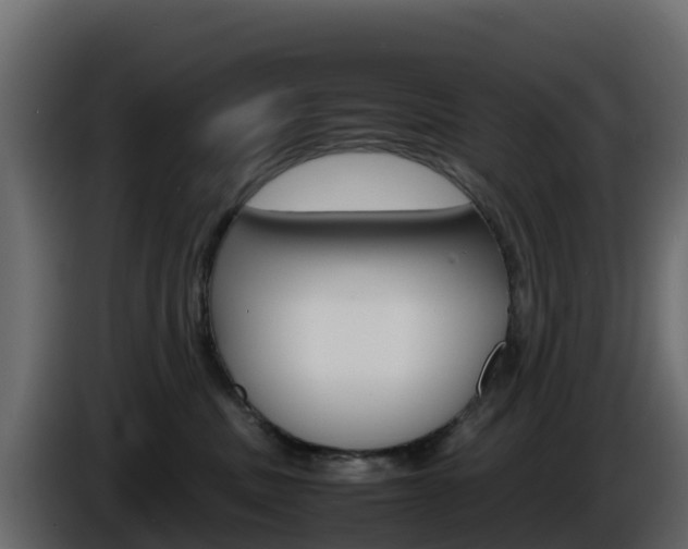 X0000086030379200703231000