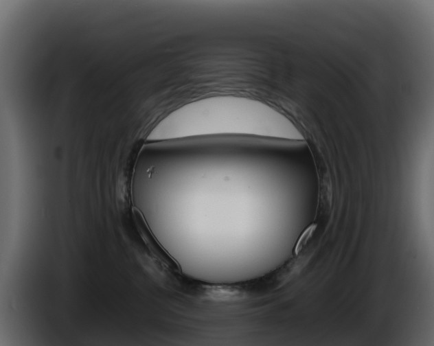 X0000086030380200703231000
