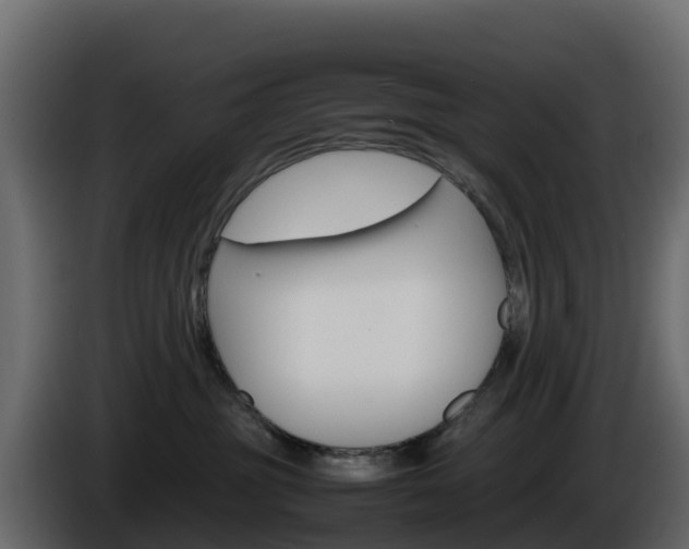 X0000086030381200703231000