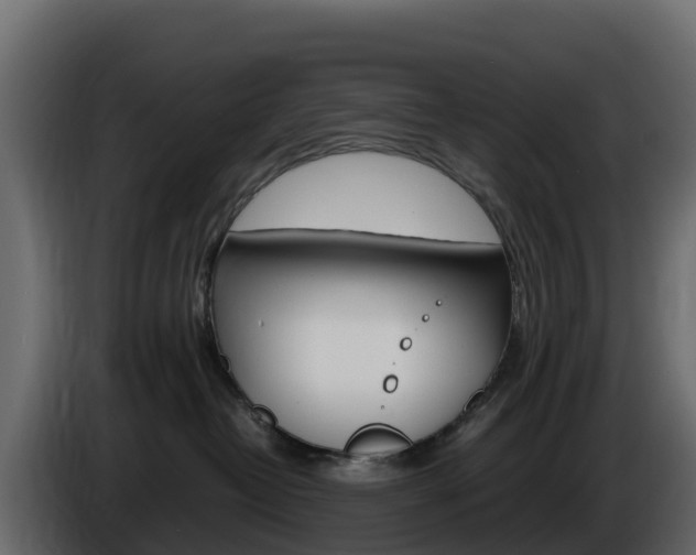 X0000086030382200703231000