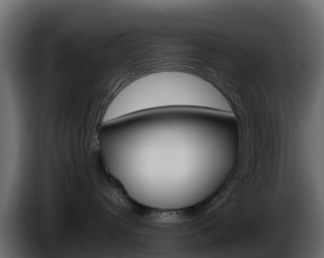 X0000086030384200703231000