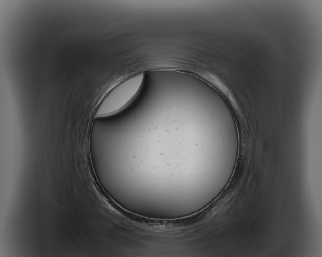 X0000086030385200703230959