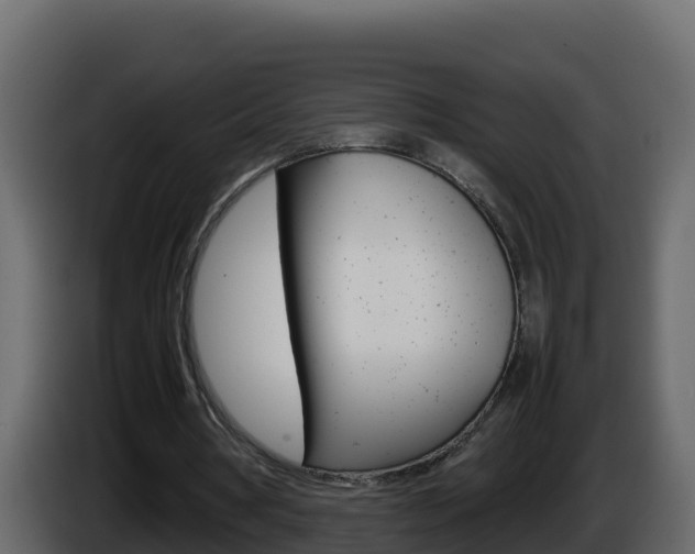 X0000086030386200703230959