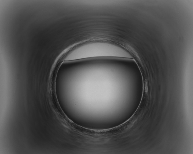 X0000086030388200703230959