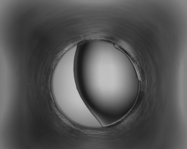 X0000086030389200703230959