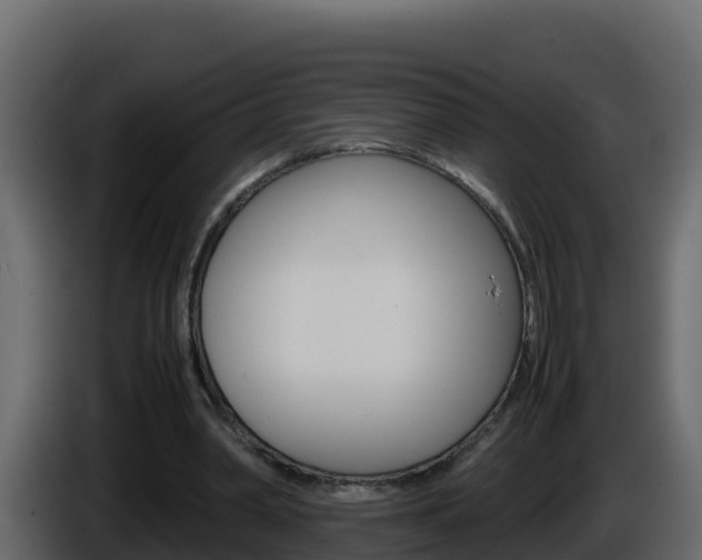 X0000086030390200703230959