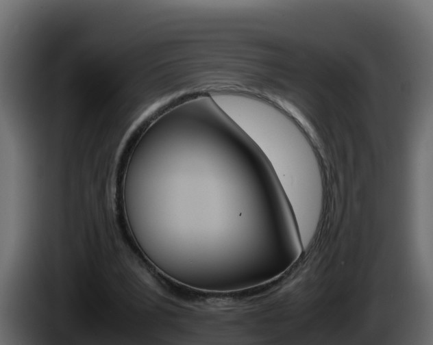 X0000086030391200703230959