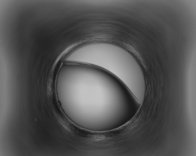 X0000086030392200703230959