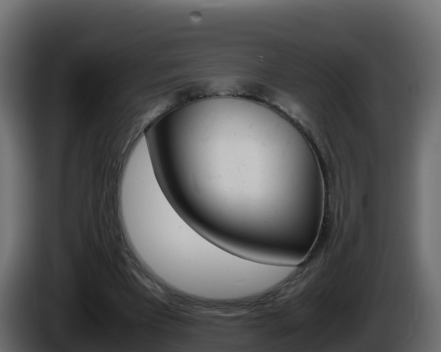 X0000086030393200703230959