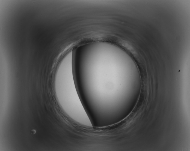 X0000086030399200703230959