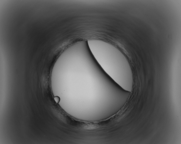 X0000086030402200703230959
