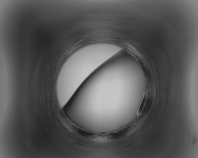 X0000086030405200703230959