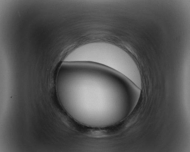 X0000086030407200703230959