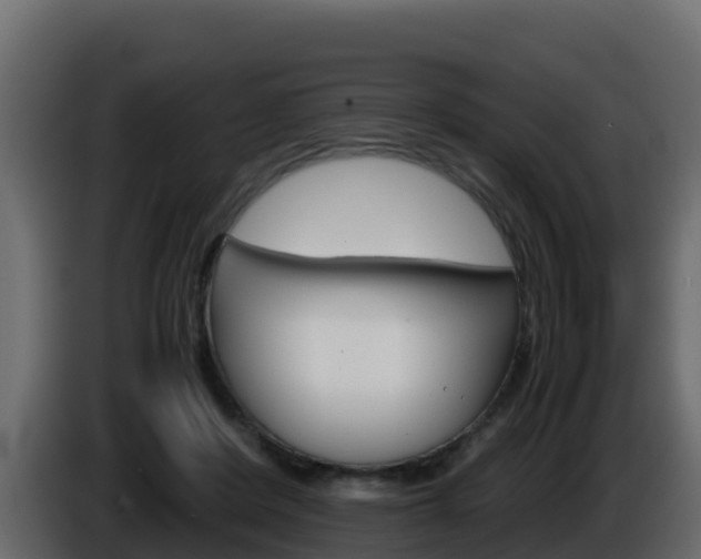 X0000086030408200703230959