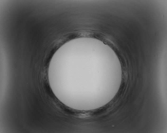 X0000086030411200703230959