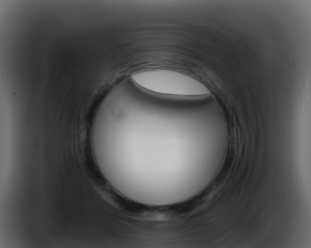 X0000086030412200703230959
