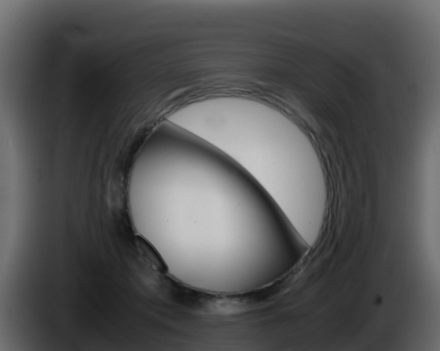 X0000086030413200703230959