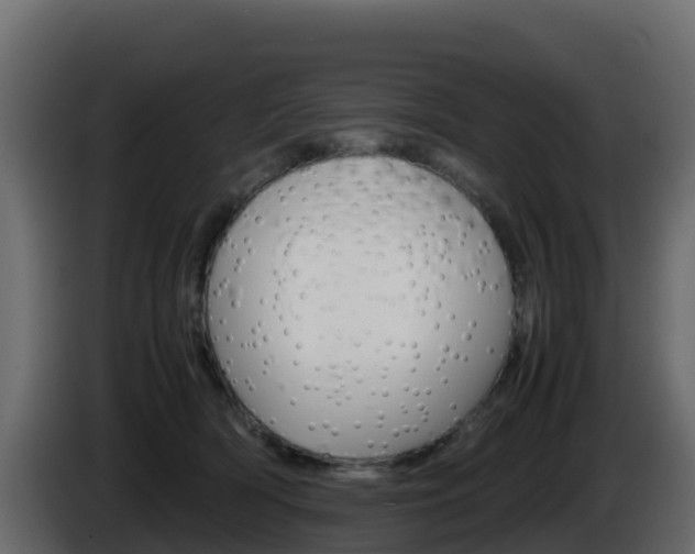 X0000086030418200703230958