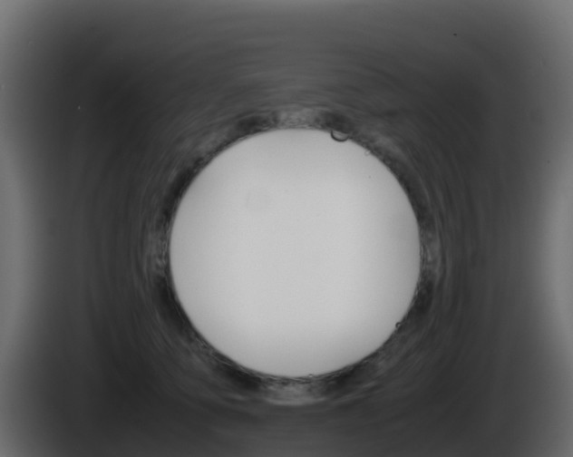X0000086030419200703230958