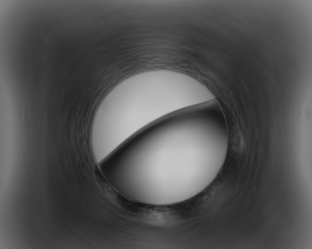 X0000086030420200703230958