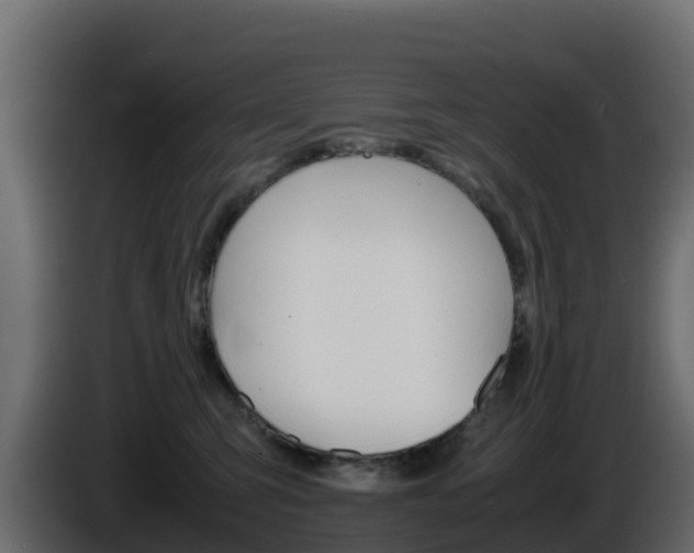X0000086030423200703230958