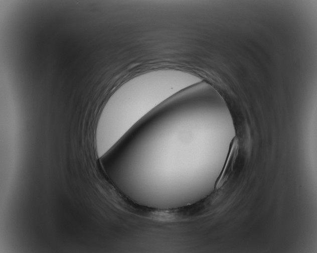 X0000086030425200703230958