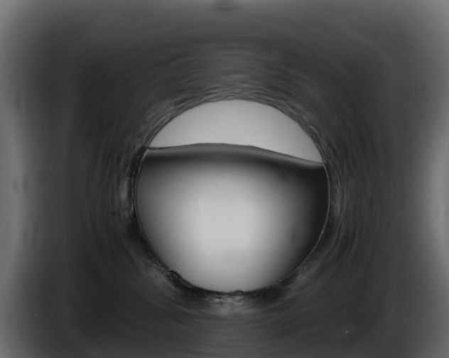 X0000086030428200703230958