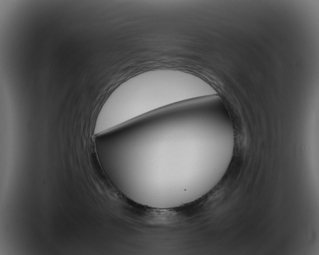X0000086030429200703230958