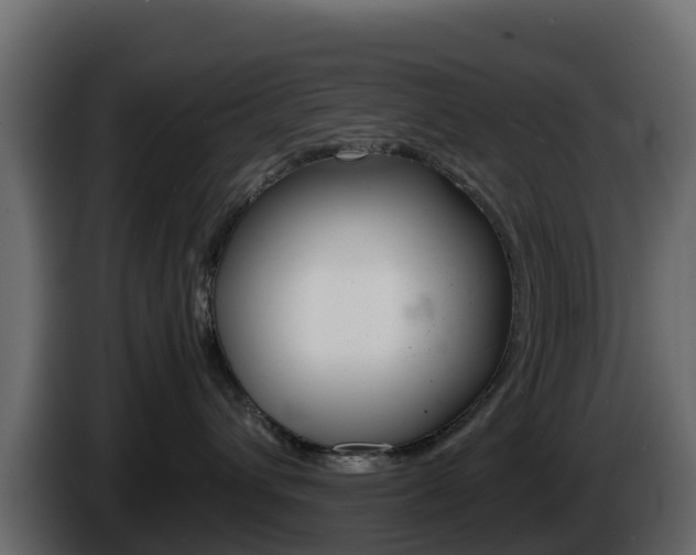 X0000086030432200703230958