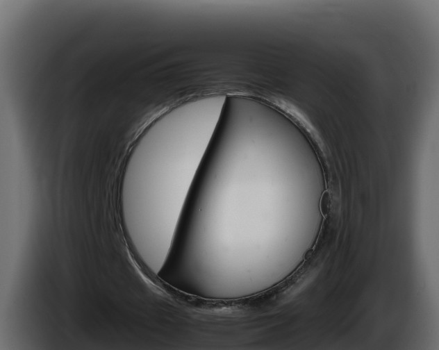 X0000086030433200703230958