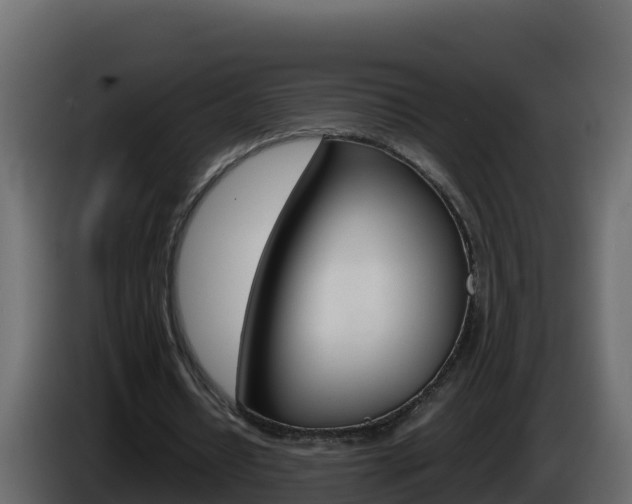 X0000086030434200703230958