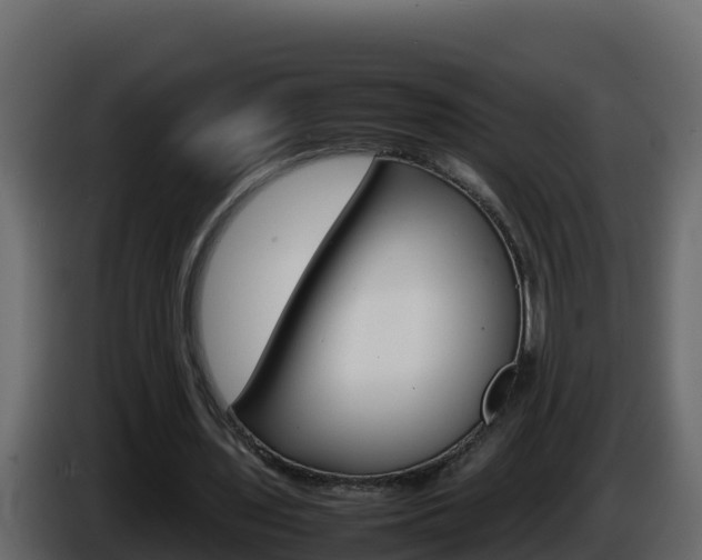 X0000086030435200703230958