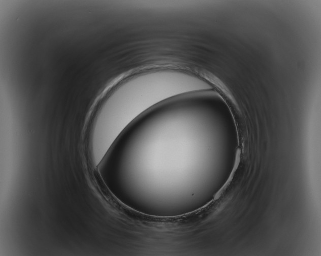 X0000086030436200703230958