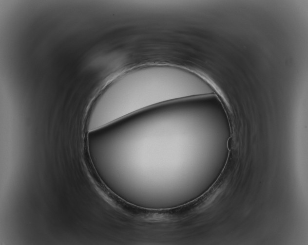 X0000086030437200703230958