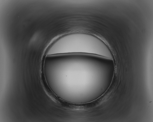 X0000086030438200703230958
