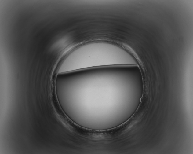 X0000086030439200703230958