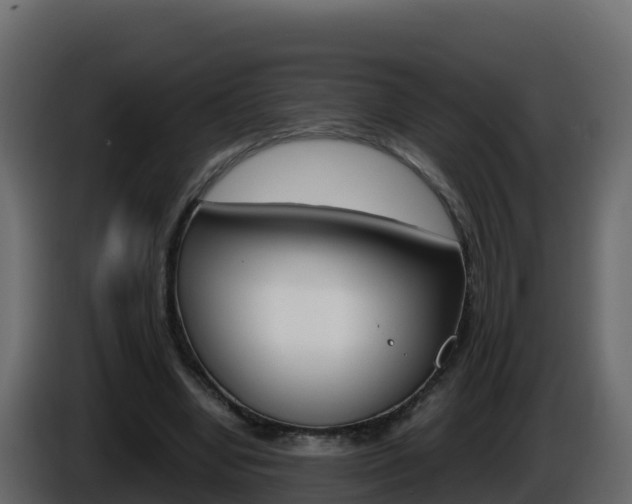 X0000086030442200703230958