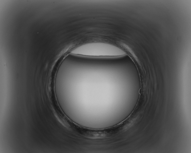 X0000086030443200703230958