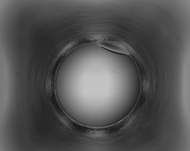 X0000086030444200703230958