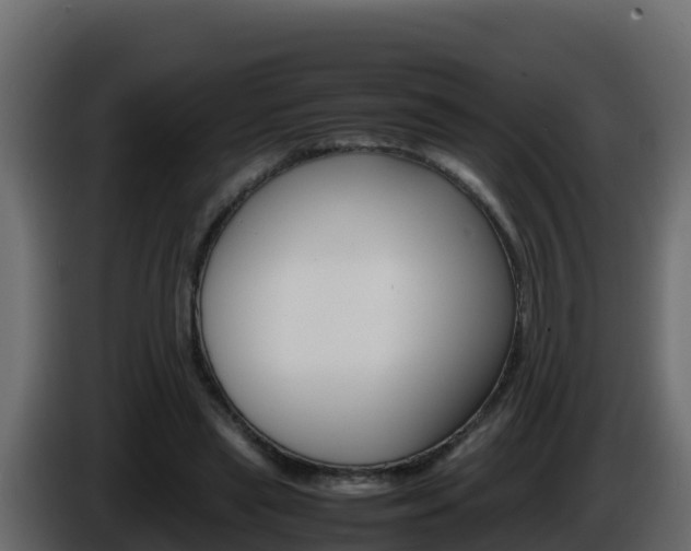 X0000086030445200703230958