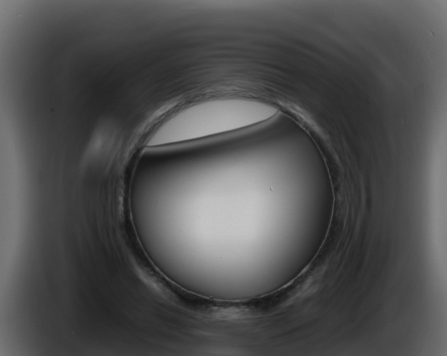 X0000086030446200703230958