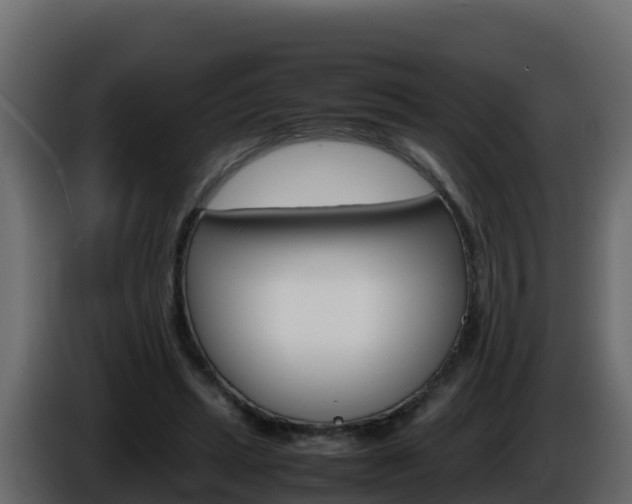 X0000086030447200703230958