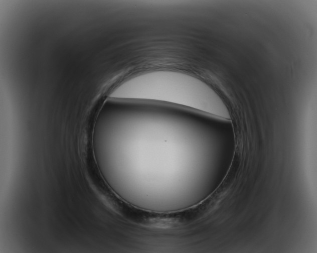 X0000086030448200703230958
