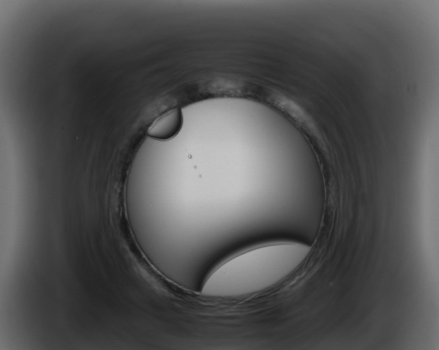 X0000086030449200703230958