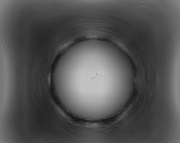 X0000086030454200703230958