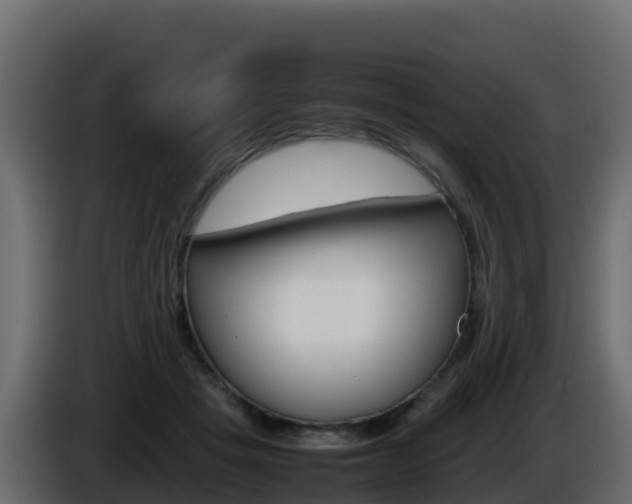 X0000086030457200703230958